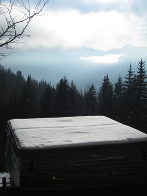 Outdoor hottub/spa (with dvd & music system with ipod dock) 